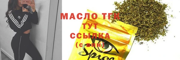 гашик Арсеньев