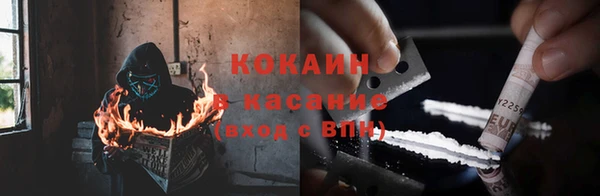 гашик Арсеньев