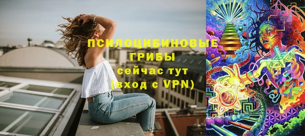 мдпв Медногорск