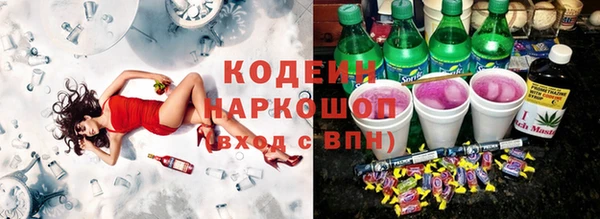 ГАЛЛЮЦИНОГЕННЫЕ ГРИБЫ Аркадак