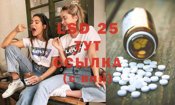 ГАЛЛЮЦИНОГЕННЫЕ ГРИБЫ Аркадак